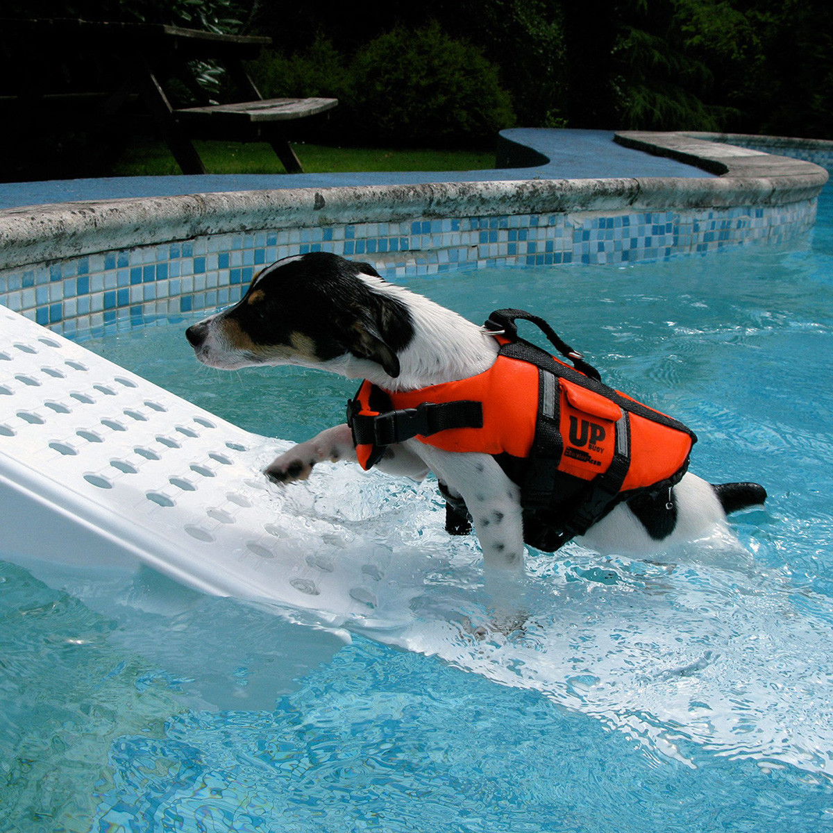 DIY Dog Ramp For Above Ground Pool
 Dog Ramp For Ground Pool White Safety With Dog