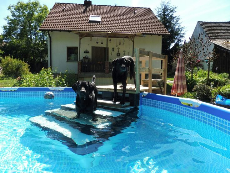 DIY Dog Ramp For Above Ground Pool
 13 best Into the Swimming Pool 2017 images on Pinterest