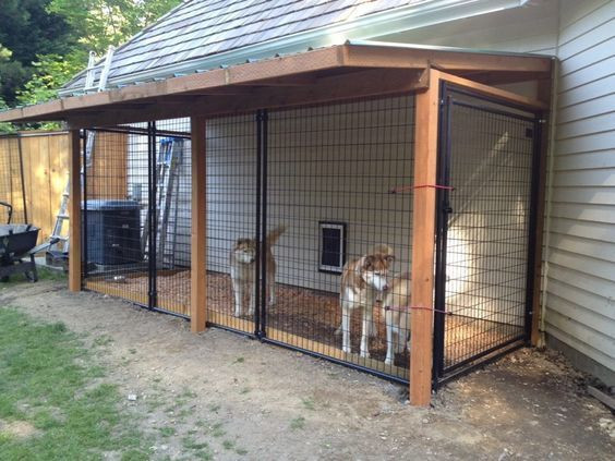 DIY Dog Run Plans
 10 Genius DIY Dog Kennel Ideas Dog kennels