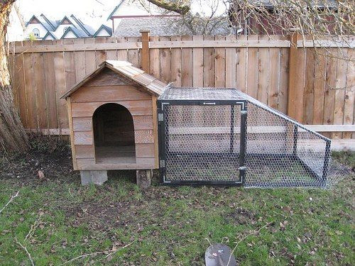 DIY Dog Run Plans
 55 DIY Chicken Coop Plans For Free