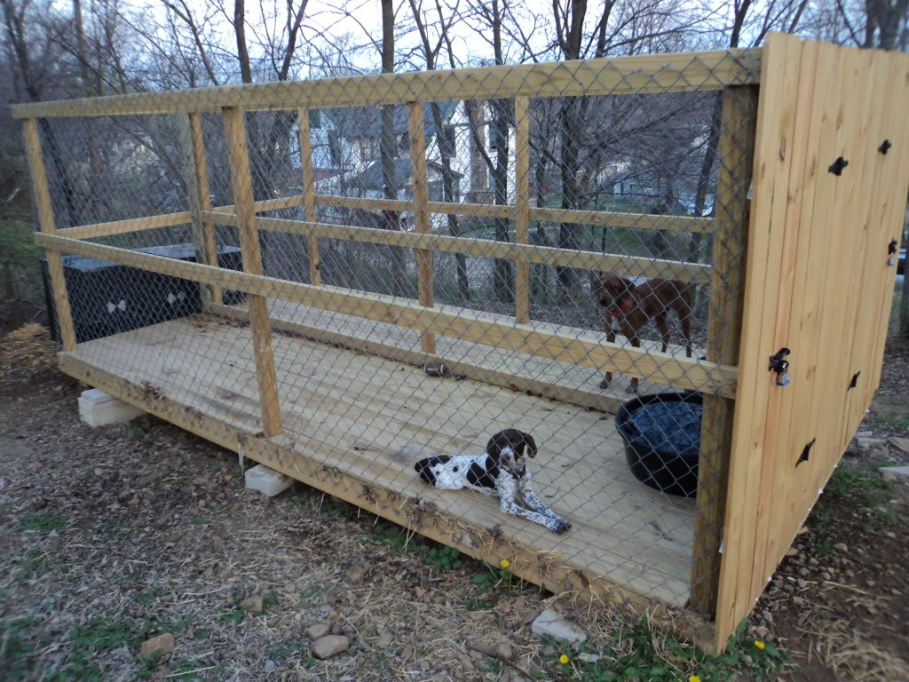 DIY Dog Run Plans
 The Real APBT Dog Kennel Setups and Designs