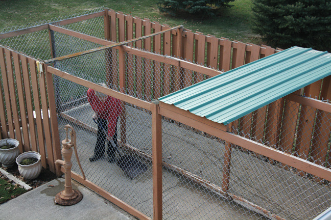 DIY Dog Run Plans
 59 Chain Link Fences For Dogs Chain Link Fence For Dogs