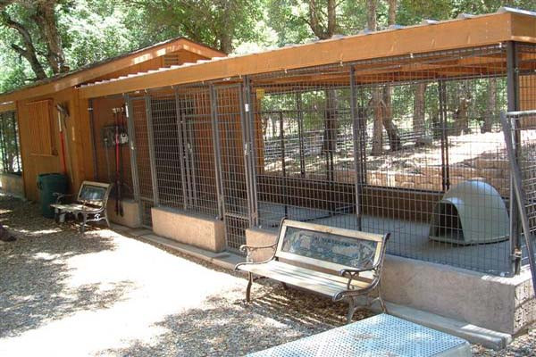 DIY Dog Run Plans
 Outdoor How To Build A Dog Kennel Building A Dog Kennel