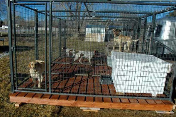 DIY Dog Run Plans
 PDF Plans How To Build Wood Kennels Download homemade