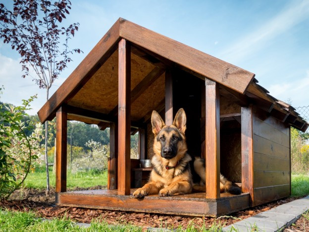 DIY Dog Run Plans
 DIY dog kennel building tips Dogslife Dog Breeds Magazine