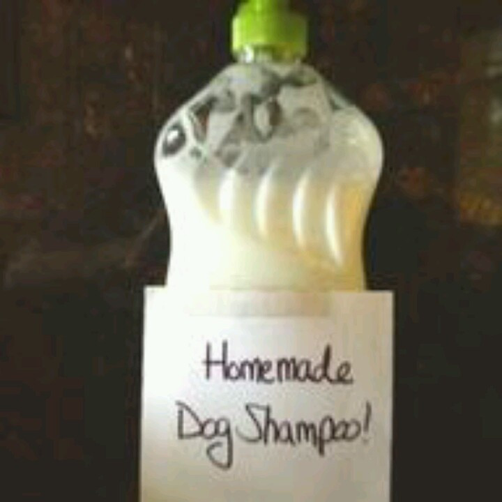DIY Dog Shampoo
 1000 images about home made dog shampoo on Pinterest