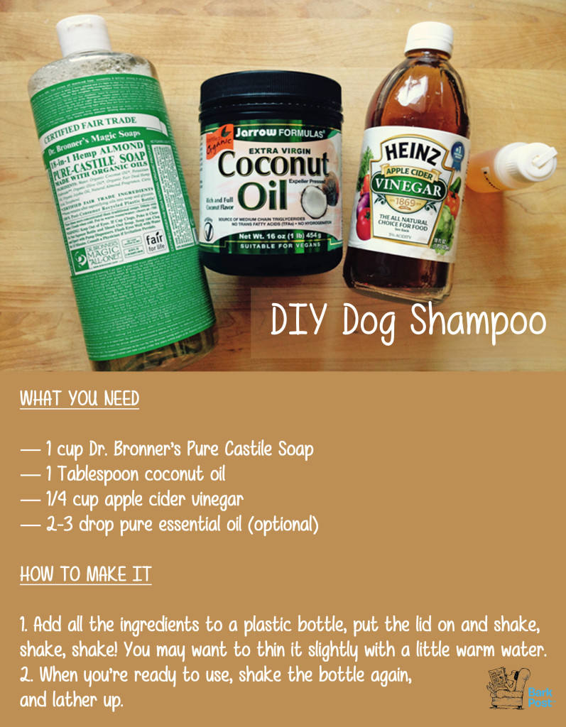 DIY Dog Shampoo
 5 All Natural DIY Grooming How Tos For Your Pup BarkPost