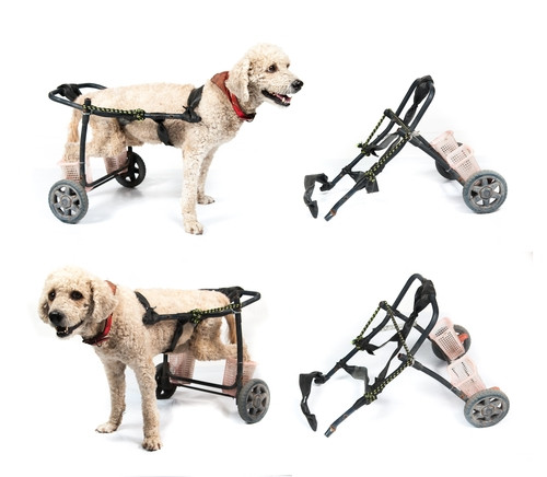 DIY Dog Wheelchair
 DIY Dog Wheelchair How to Make a Wheelchair for Dogs By