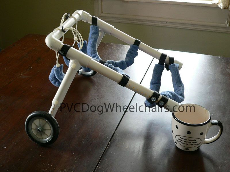 DIY Dog Wheelchair
 Homemade Dog Wheelchair Plans – Homemade Ftempo