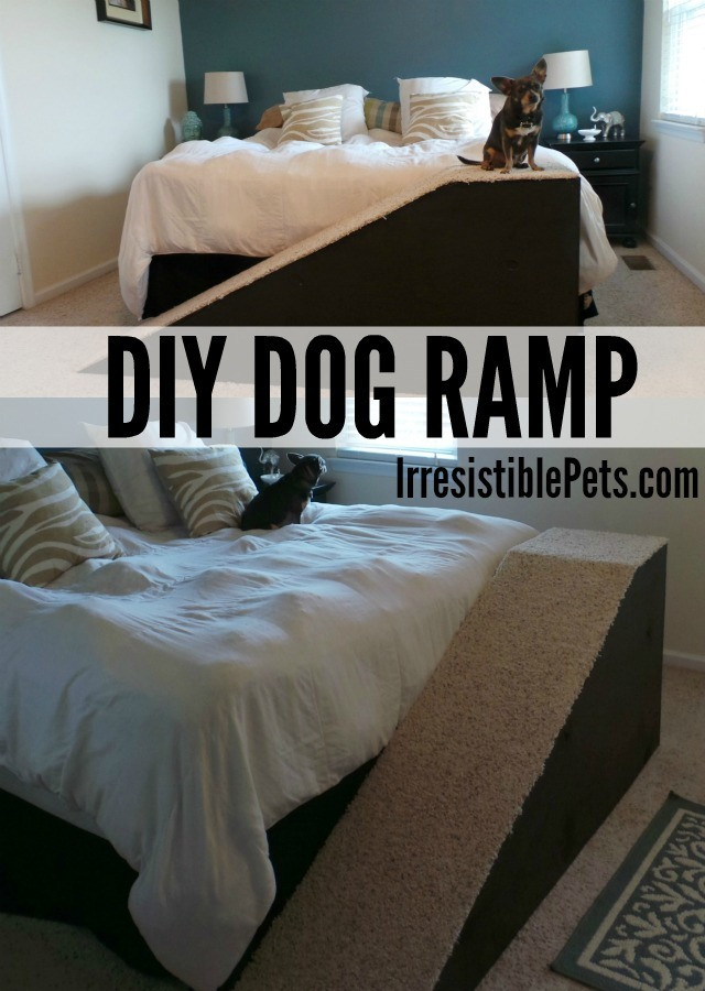 DIY Doggie Ramp
 DIY Dog Ramp Irresistible Pets
