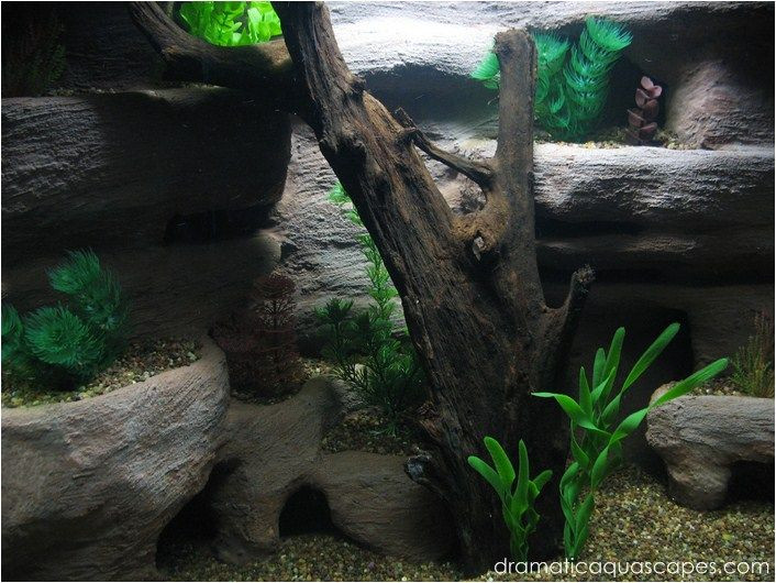 Best ideas about DIY Driftwood For Aquarium
. Save or Pin 27 Best images about peceras paludarios y terrarios on Now.