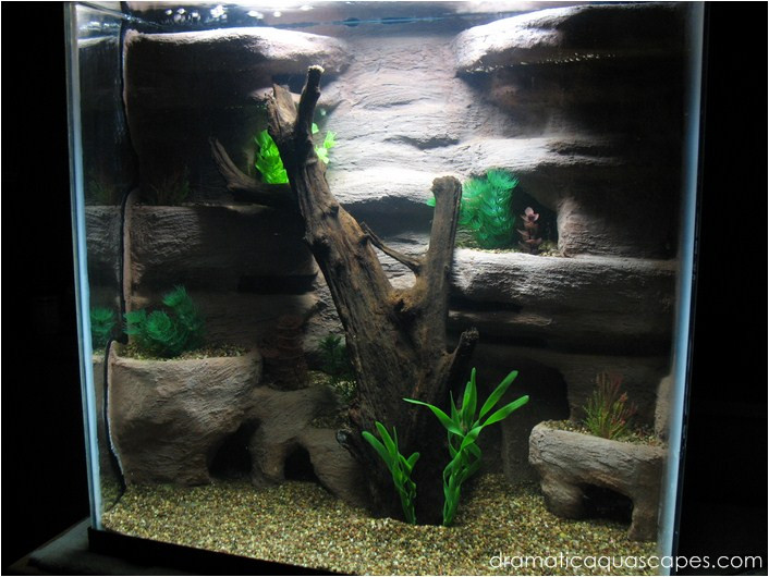 Best ideas about DIY Driftwood For Aquarium
. Save or Pin Dramatic AquaScapes DIY Aquarium Background Malaysian Now.