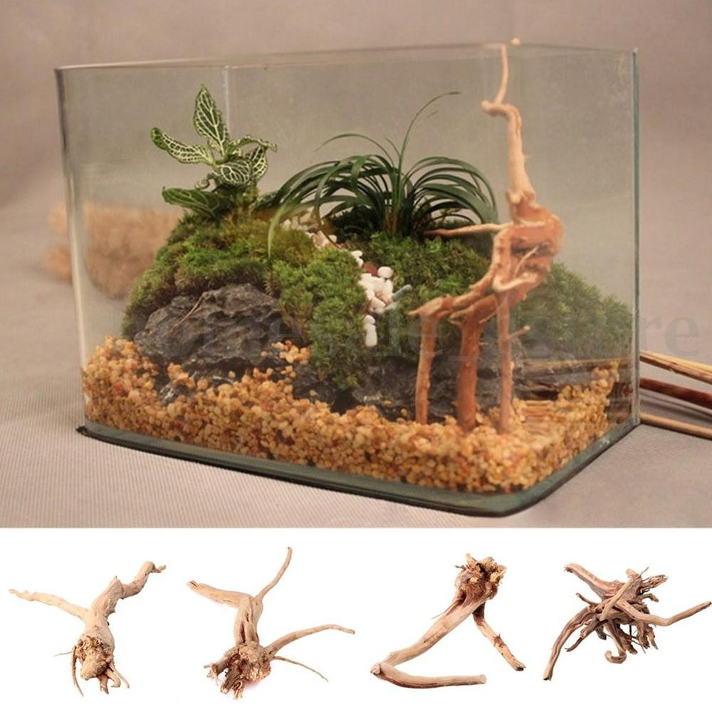 Best ideas about DIY Driftwood For Aquarium
. Save or Pin 4 Size Natural Driftwood Aquarium Fish Tank Tree Trunk Now.