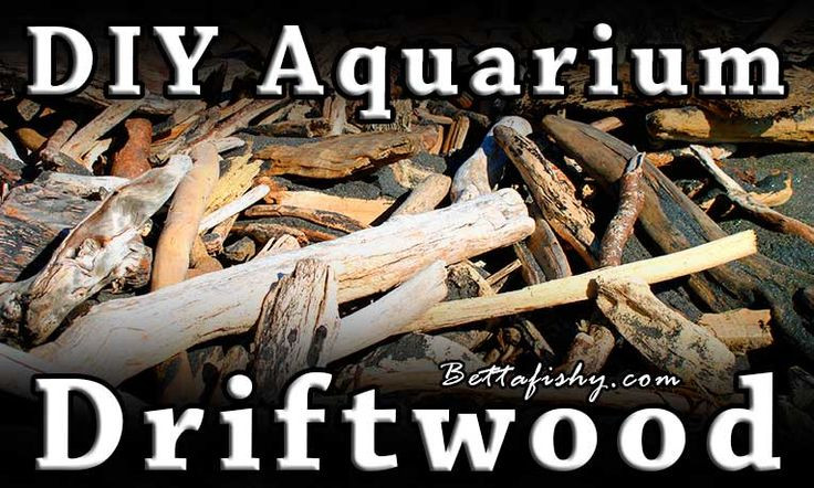 Best ideas about DIY Driftwood For Aquarium
. Save or Pin 230 Best images about Aquarium Projects and Ideas on Now.