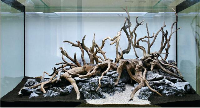 Best ideas about DIY Driftwood For Aquarium
. Save or Pin Drift Wood In Aquarium Driftwood Selection Aquarium Now.