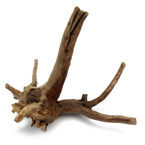 Best ideas about DIY Driftwood For Aquarium
. Save or Pin Natural Wood Driftwood Plants Tree Trunk Log Fish Tank Now.