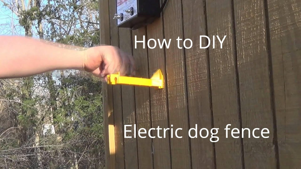 DIY Electric Dog Fence
 how to make Electric Dog fence cheap