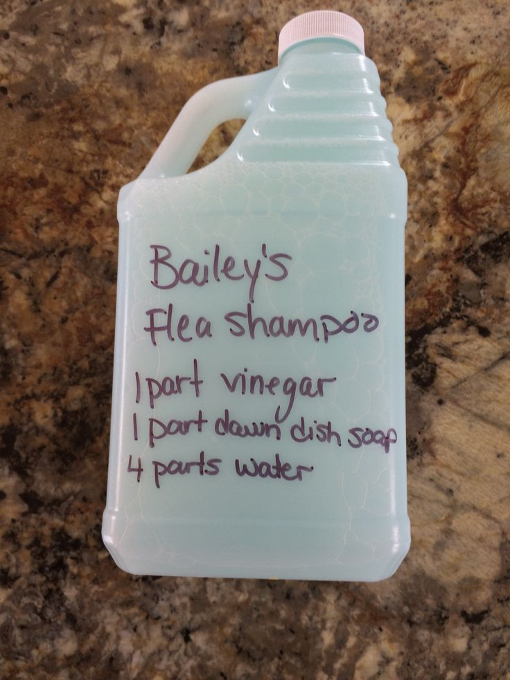 DIY Flea Treatment For Dogs
 25 best ideas about Homemade Flea Shampoo on Pinterest
