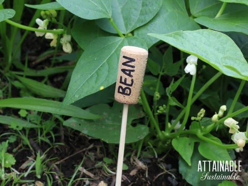 DIY Garden Markers
 15 Cheap and Easy DIY Plant Markers for Your Garden