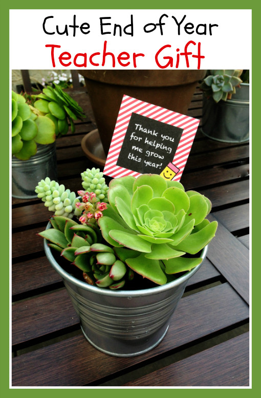 Best ideas about DIY Gift For Teachers
. Save or Pin 35 DIY Teacher Appreciation Gifts Big DIY Ideas Now.