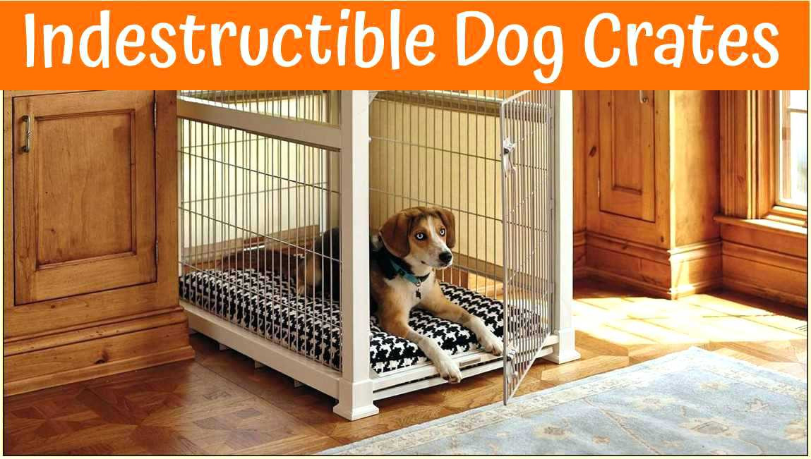 DIY Indestructible Dog Crate
 Indestructible Dog Bedding Shepherd Lying Ember West