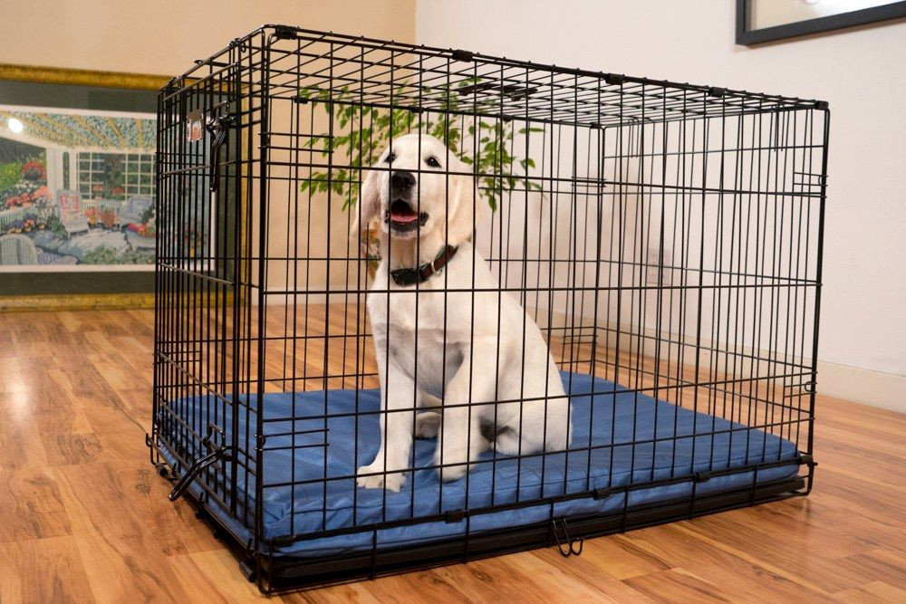 DIY Indestructible Dog Crate
 Pads For Dog Crates Indestructible Happy Dog Heaven