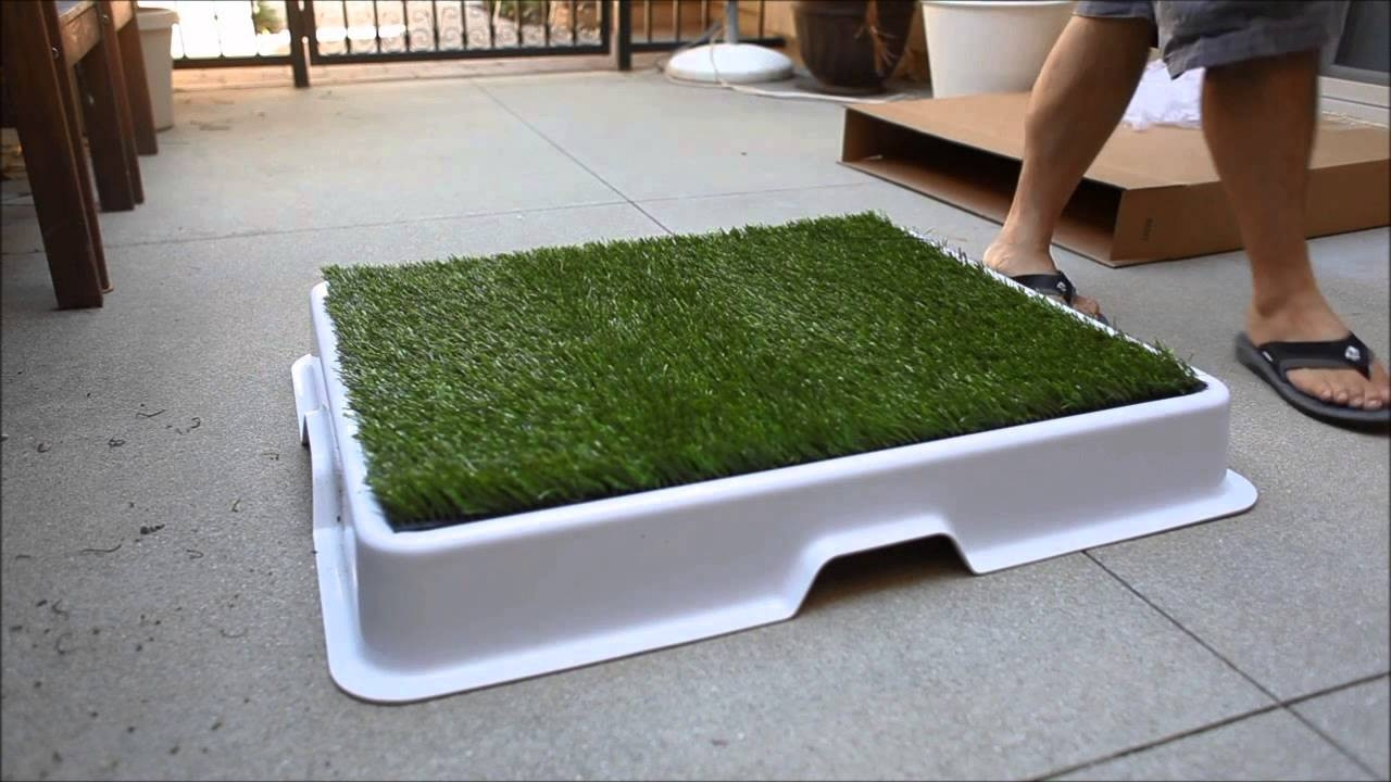 DIY Indoor Dog Potty
 Porch Potty Standard Synthetic Grass