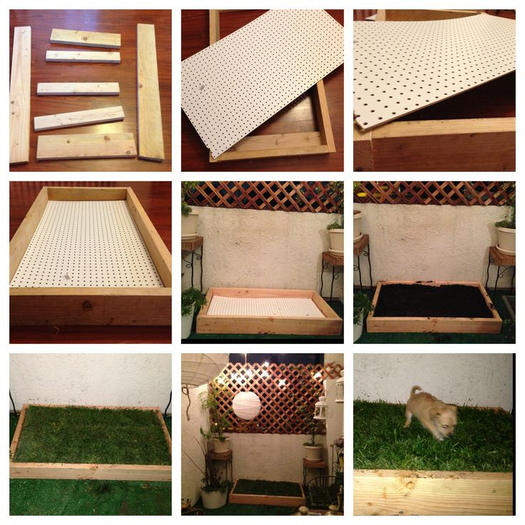 DIY Indoor Dog Potty
 DIY dog grass box Easy to make and less than $40 at Home