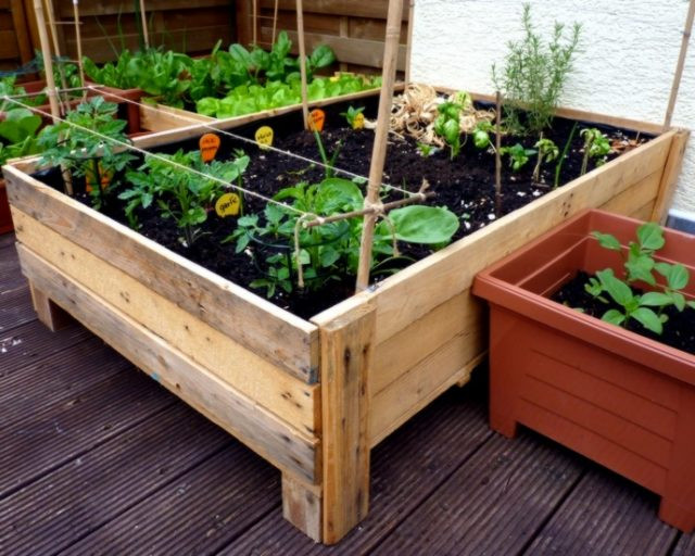 DIY Large Planter Boxes
 Container Gardening DIY Planter box from pallets