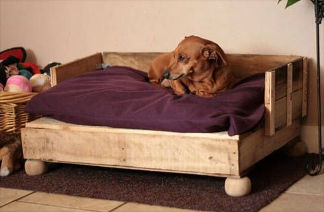 DIY Pallet Dog Bed Plans
 Woodwork Wooden Dog Beds PDF Plans