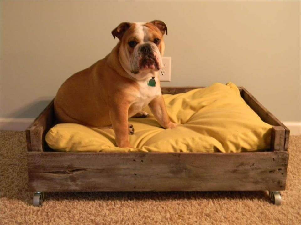 DIY Pallet Dog Bed Plans
 40 DIY Pallet Dog Bed Ideas Don t know which I love more