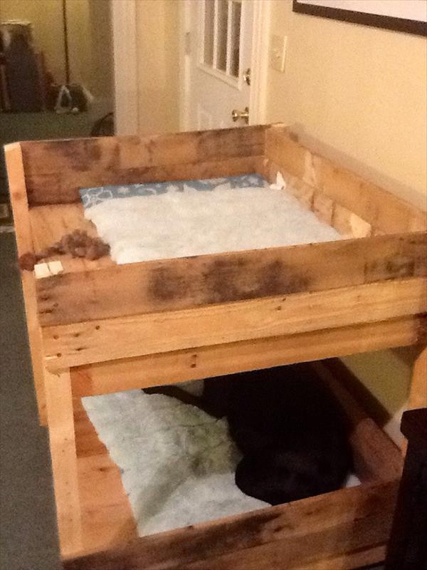 DIY Pallet Dog Bed Plans
 DIY Pet Bunk Bed Plans to Build Dog Bed