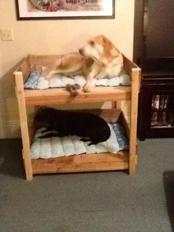 DIY Pallet Dog Bed Plans
 DIY Pet Bunk Bed Plans to Build Dog Bed