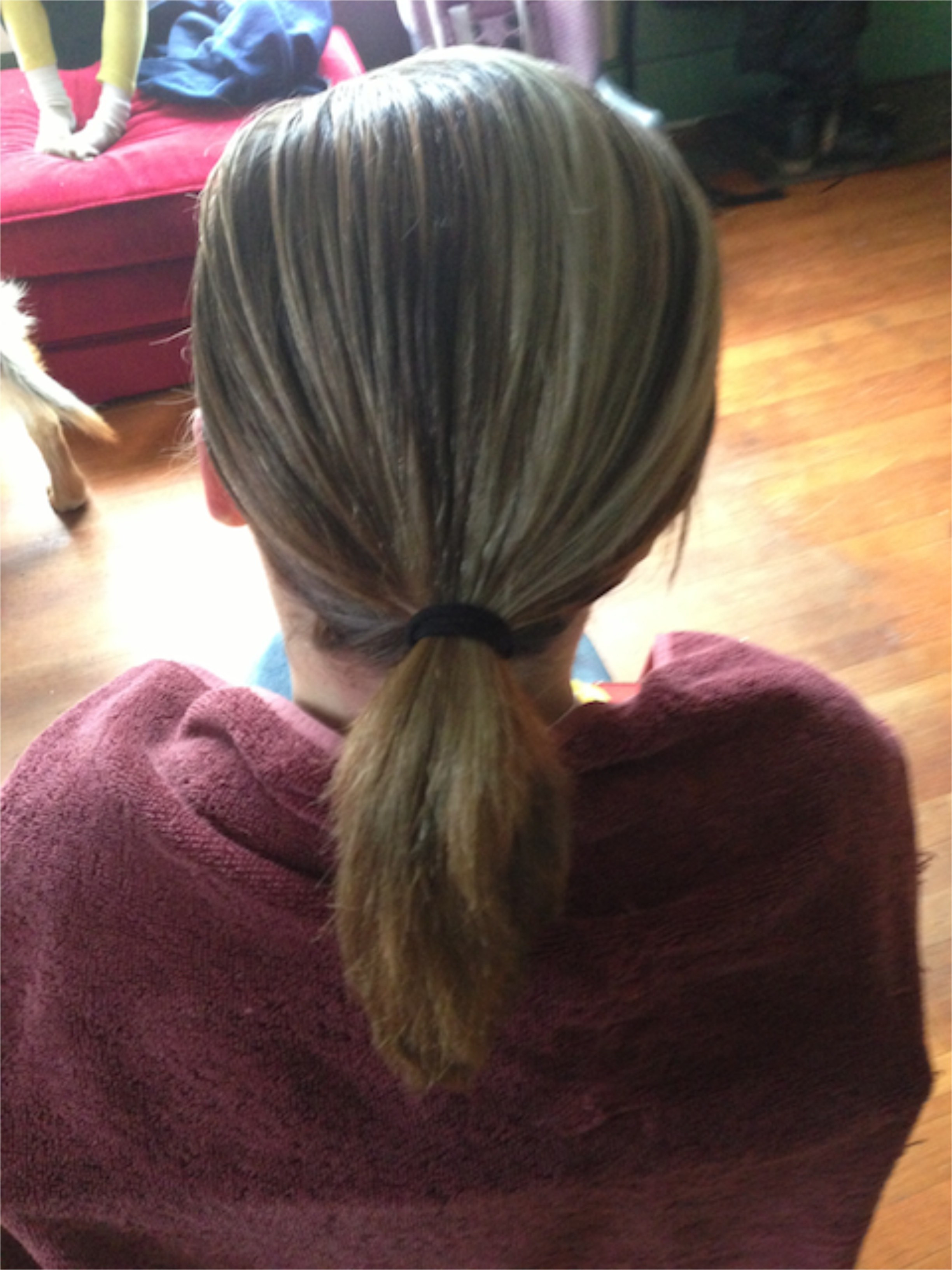 DIY Ponytail Haircut
 diy ponytail haircut shlob diy ponytail haircut shlob diy