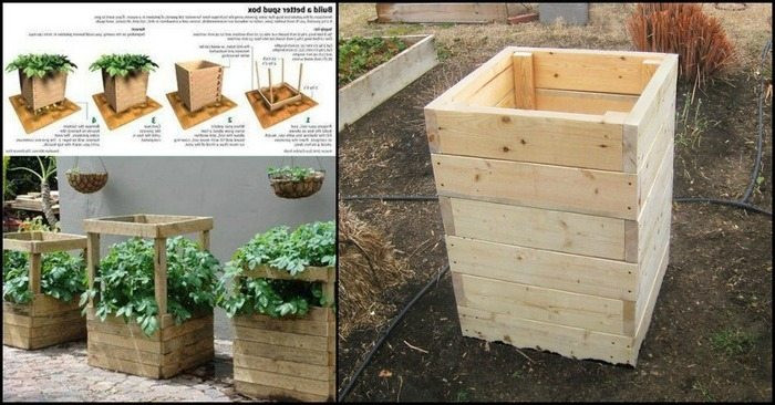 DIY Potato Planter
 How to build a spud box and grow potatoes in four square