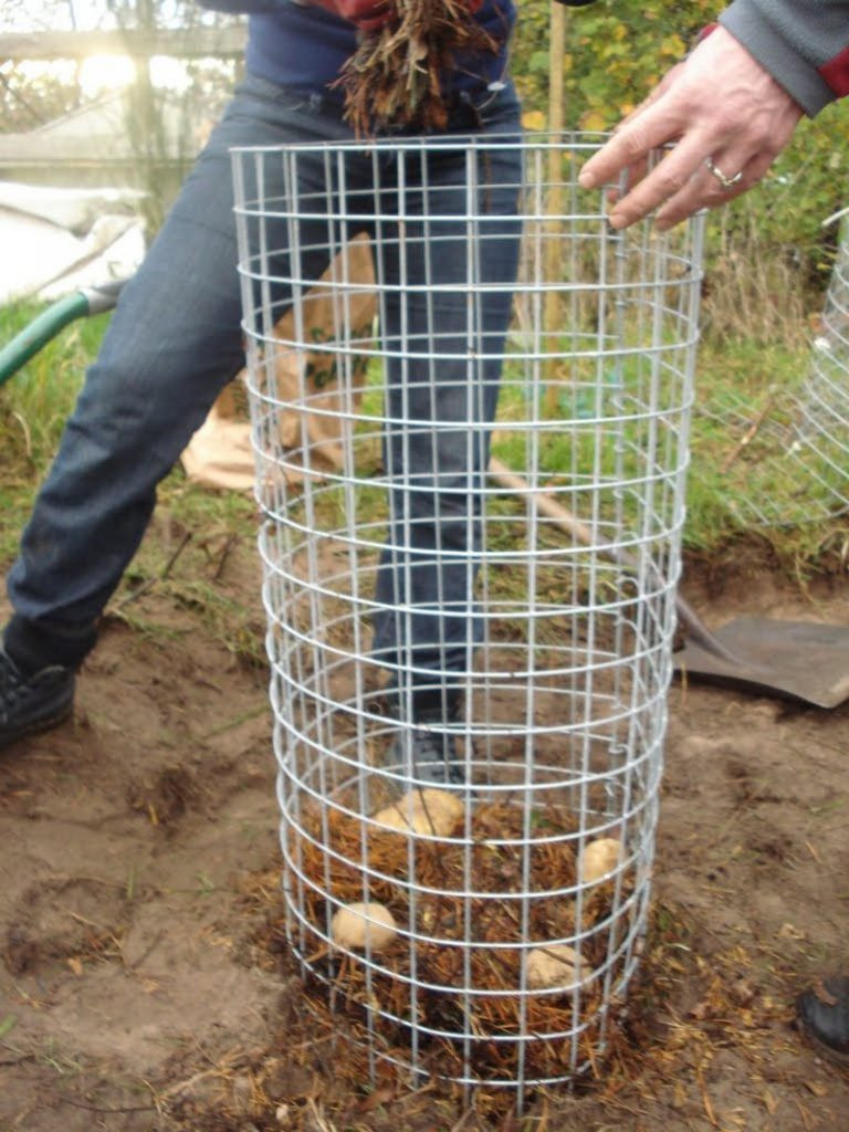 DIY Potato Planter
 Eight and a half ‘no dig’ ways to grow the humble spud