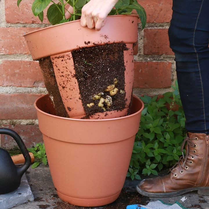 DIY Potato Planter
 0 via Nifty Outdoors LIKE our new page This easy harvest