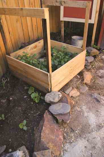 DIY Potato Planter
 How to Build a Potato Planter DIY MOTHER EARTH NEWS