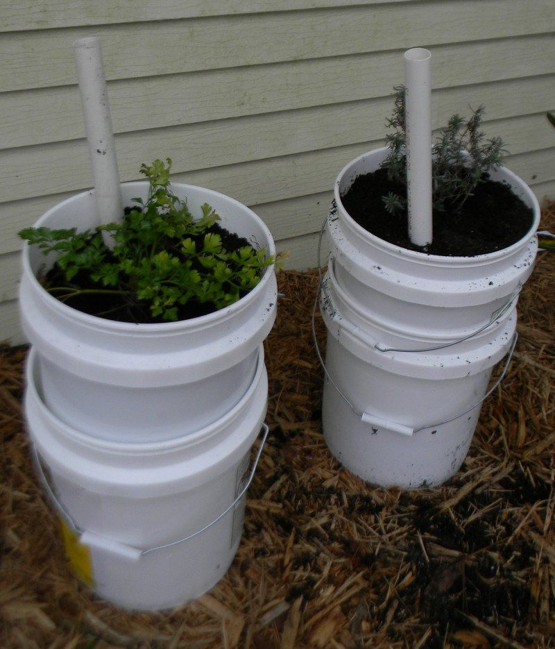 DIY Potato Planter
 Eight and a half ‘no dig’ ways to grow the humble spud