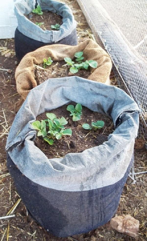 DIY Potato Planter
 Diy Grow Bags For Plants Style Guru Fashion Glitz