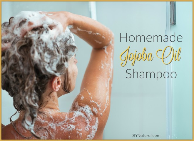 Best ideas about DIY Shampoo For Oily Hair
. Save or Pin Homemade Shampoo with Jojoba Oil for Dry Hair and Scalp Now.