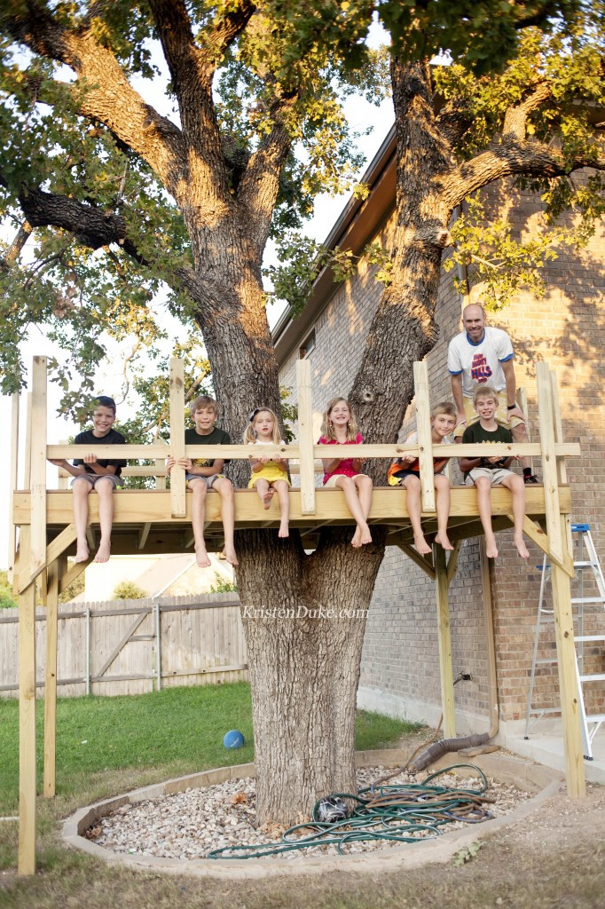 Best ideas about DIY Treehouse Kits
. Save or Pin Build Your Own Treehouse Now.