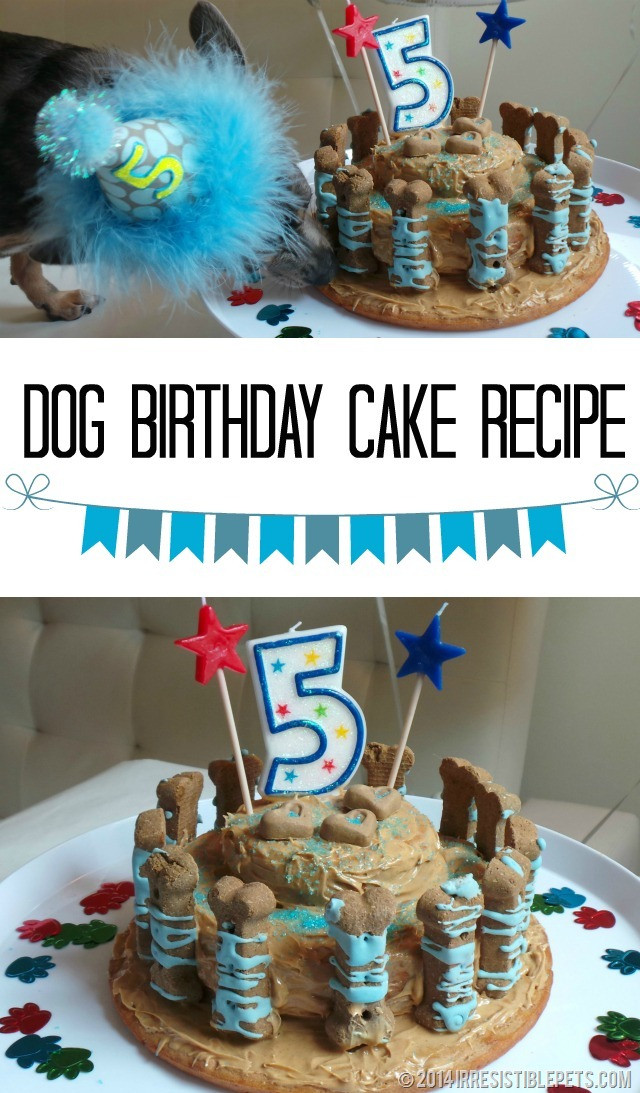 Dog Birthday Cake Recipes
 Dog Birthday Cake Recipe for Chuy’s 5th Birthday