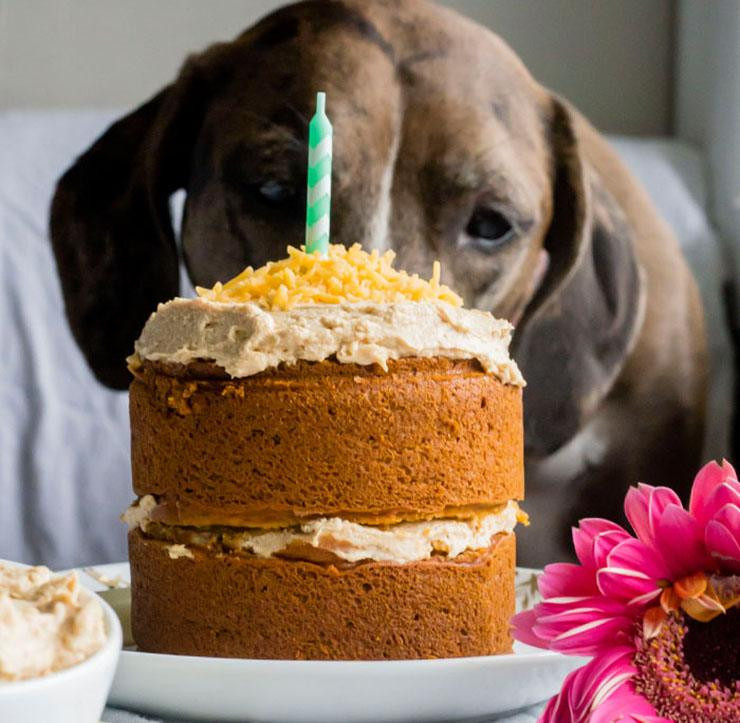 Dog Birthday Cake Recipes
 14 Dog Birthday Cake & Cupcake Homemade Recipes