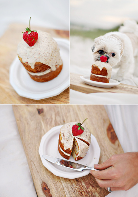 Dog Birthday Cake Recipes
 The Best Dog Birthday Cake Recipe Coco’s Birthday