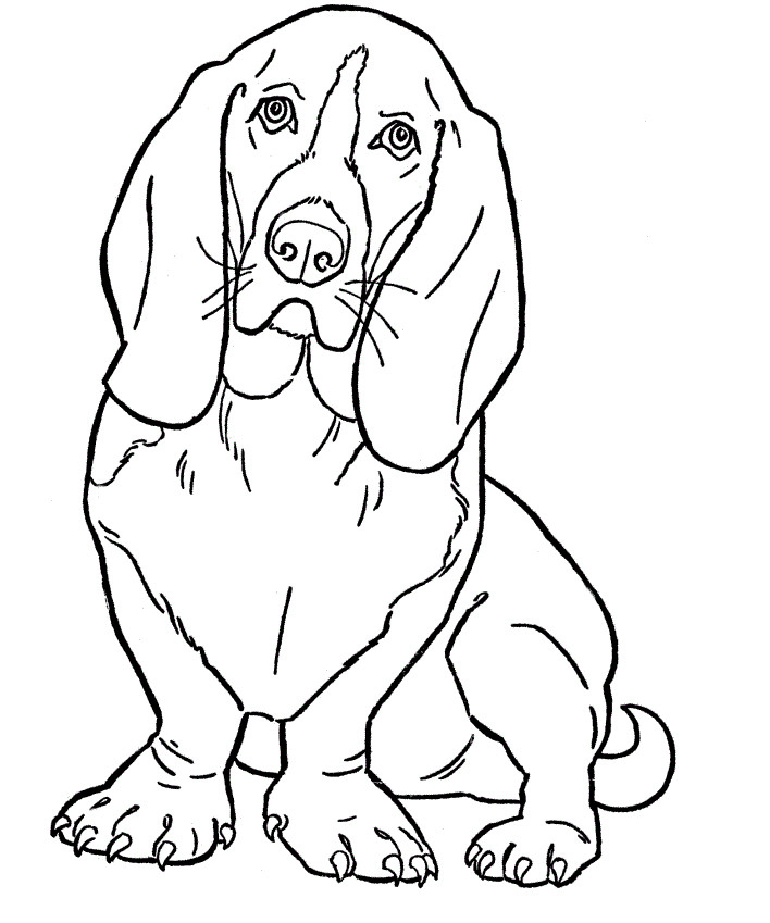 Dog Coloring Pages Printable
 Free Printable Dog Coloring Pages For Kids