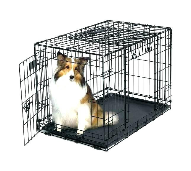 Dog Crate Divider DIY
 Dog Kennel With Divider Dog Cage Kennel With Divider L