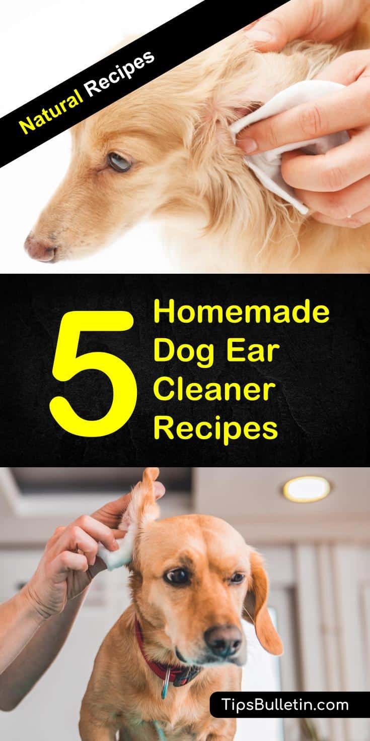 Dog Ear Wash DIY
 5 Homemade Dog Ear Cleaner Recipes