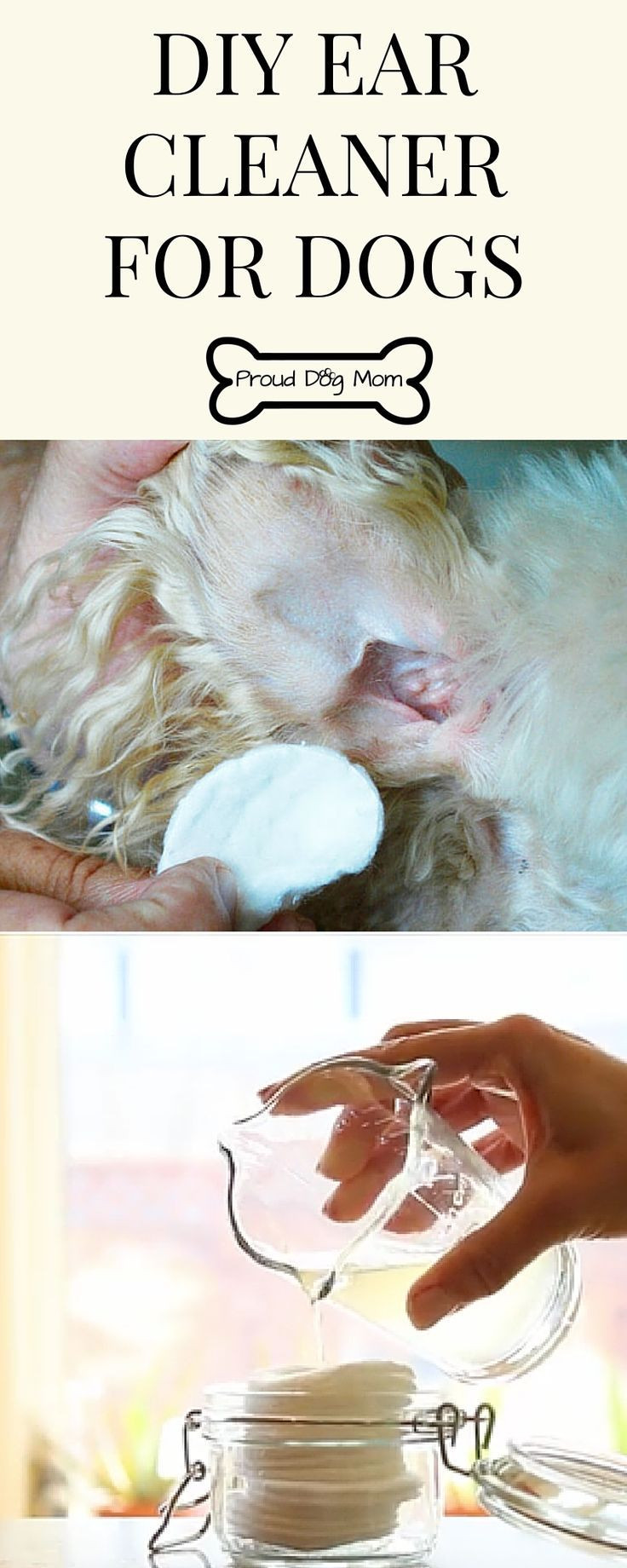Dog Ear Wash DIY
 33 best Animals wearing hats images on Pinterest