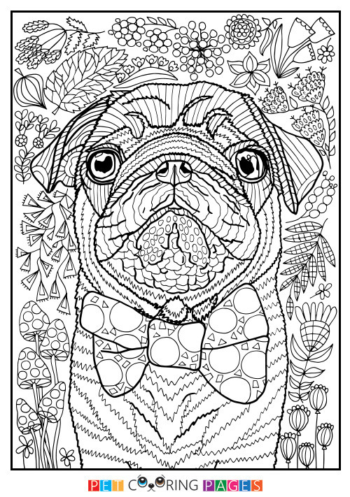 Best ideas about Dog With Puppies Coloring Pages For Teens
. Save or Pin Pug Coloring Page "Sidney" ZileArt Now.